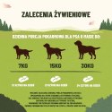 PURINA NESTLE PURINA Adventuros Training łosoś - przysmak dla psa -115g