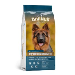 DIVINUS DIVINUS Performance dla owczarka niemieckiego - sucha karma dla psa - 10 kg