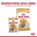 Royal Canin ROYAL CANIN BHN Shih Tzu Adult w formie pasztetu - mokra karma dla psa dorosłego - 12x85g