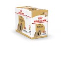 Royal Canin ROYAL CANIN BHN Shih Tzu Adult w formie pasztetu - mokra karma dla psa dorosłego - 12x85g