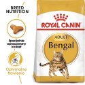 Royal Canin ROYAL CANIN Bengal Adult - sucha karma dla dorosłego kota - 10 kg