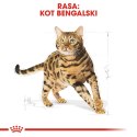 Royal Canin ROYAL CANIN Bengal Adult - sucha karma dla dorosłego kota - 10 kg