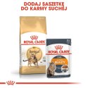 Royal Canin ROYAL CANIN Bengal Adult - sucha karma dla dorosłego kota - 10 kg