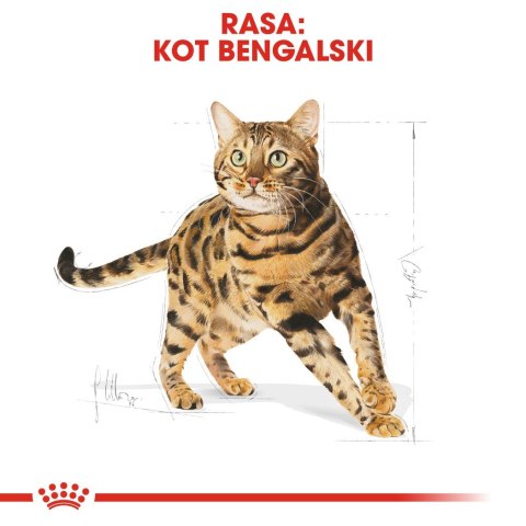 Royal Canin ROYAL CANIN Bengal Adult - sucha karma dla dorosłego kota - 2 kg Royal Canin ROYAL CANIN Bengal Adult - sucha karma dla dorosłego kota - 2 kg