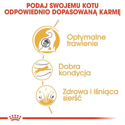 Royal Canin ROYAL CANIN Bengal Adult - sucha karma dla dorosłego kota - 2 kg Royal Canin ROYAL CANIN Bengal Adult - sucha karma dla dorosłego kota - 2 kg