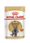 Royal Canin ROYAL CANIN FBN British Shorthair Adult - mokra karma dla dorosłego kota - 12x85g