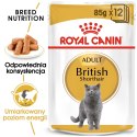 Royal Canin ROYAL CANIN FBN British Shorthair Adult - mokra karma dla dorosłego kota - 12x85g