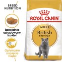 Royal Canin ROYAL CANIN FBN British Shorthair Adult - sucha karma dla dorosłego kota - 10kg