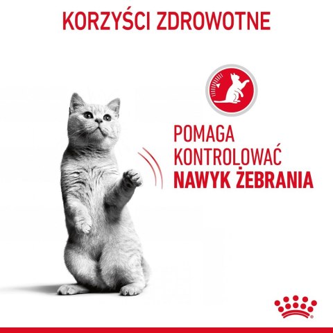 Royal Canin ROYAL CANIN FCN Appetite Control w sosie - mokra karma dla kota dorosłego - 12x85g Royal Canin ROYAL CANIN FCN Appetite Control w sosie - mokra karma dla kota dorosłego - 12x85g