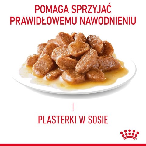 Royal Canin ROYAL CANIN FCN Appetite Control w sosie - mokra karma dla kota dorosłego - 12x85g Royal Canin ROYAL CANIN FCN Appetite Control w sosie - mokra karma dla kota dorosłego - 12x85g