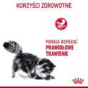 Royal Canin ROYAL CANIN FCN Digestive Care - sucha karma dla kota dorosłego - 10 kg