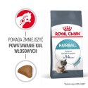 Royal Canin ROYAL CANIN FCN Hairball Care - sucha karma dla kota dorosłego - 10 kg