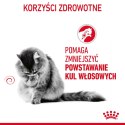 Royal Canin ROYAL CANIN FCN Hairball Care - sucha karma dla kota dorosłego - 10 kg