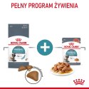 Royal Canin ROYAL CANIN FCN Hairball Care - sucha karma dla kota dorosłego - 10 kg