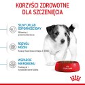 Royal Canin ROYAL CANIN Puppy Mini SHN - sucha karma dla szczeniąt - 8 kg