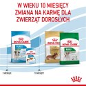 Royal Canin ROYAL CANIN Puppy Mini SHN - sucha karma dla szczeniąt - 8 kg