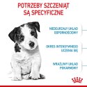 Royal Canin ROYAL CANIN Puppy Mini SHN - sucha karma dla szczeniąt - 8 kg