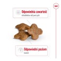 Royal Canin ROYAL CANIN SHN Mini Adult 8+ - sucha karma dla psa dorosłego - 8kg