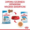 Royal Canin ROYAL CANIN SHN Mini Puppy w sosie - mokra karma dla szczeniąt - 12X85 g