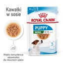 Royal Canin ROYAL CANIN SHN Mini Puppy w sosie - mokra karma dla szczeniąt - 12X85 g