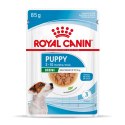 Royal Canin ROYAL CANIN SHN Mini Puppy w sosie - mokra karma dla szczeniąt - 12X85 g