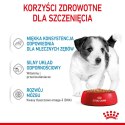 Royal Canin ROYAL CANIN SHN Mini Puppy w sosie - mokra karma dla szczeniąt - 12X85 g