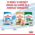 Royal Canin ROYAL CANIN SHN Mini Puppy w sosie - mokra karma dla szczeniąt - 12X85 g