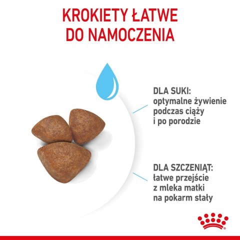 Royal Canin ROYAL CANIN SHN Mini Starter Mother & Babydog - sucha karma dla psa - 4 kg Royal Canin ROYAL CANIN SHN Mini Starter Mother & Babydog - sucha karma dla psa - 4 kg