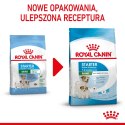 Royal Canin ROYAL CANIN SHN Mini Starter Mother & Babydog - sucha karma dla psa - 4 kg