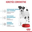 Royal Canin ROYAL CANIN SHN Mini Starter Mother & Babydog - sucha karma dla psa - 4 kg