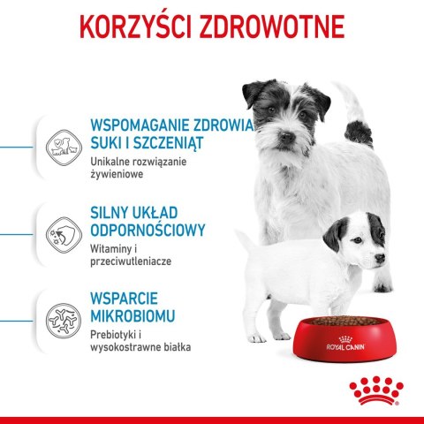 Royal Canin ROYAL CANIN SHN Mini Starter Mother & Babydog - sucha karma dla psa - 4 kg Royal Canin ROYAL CANIN SHN Mini Starter Mother & Babydog - sucha karma dla psa - 4 kg