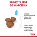 Royal Canin ROYAL CANIN Starter Mini Mother & Babydog - sucha karma dla szczeniąt i suk w ciąży oraz okresie laktacji - 1 kg