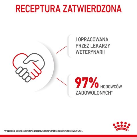 Royal Canin ROYAL CANIN Starter Mini Mother & Babydog - sucha karma dla szczeniąt i suk w ciąży oraz okresie laktacji - 1 kg Royal Canin ROYAL CANIN Starter Mini Mother & Babydog - sucha karma dla szczeniąt i suk w ciąży oraz okresie laktacji - 1 kg