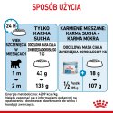 Royal Canin ROYAL CANIN Starter Mini Mother & Babydog - sucha karma dla szczeniąt i suk w ciąży oraz okresie laktacji - 1 kg