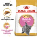 Royal Canin Royal Canin FBN British Shorthair Kitten - sucha karma dla kociąt - 2 kg