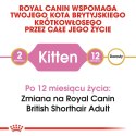 Royal Canin Royal Canin FBN British Shorthair Kitten - sucha karma dla kociąt - 2 kg