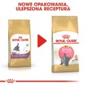 Royal Canin Royal Canin FBN British Shorthair Kitten - sucha karma dla kociąt - 2 kg