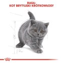 Royal Canin Royal Canin FBN British Shorthair Kitten - sucha karma dla kociąt - 2 kg