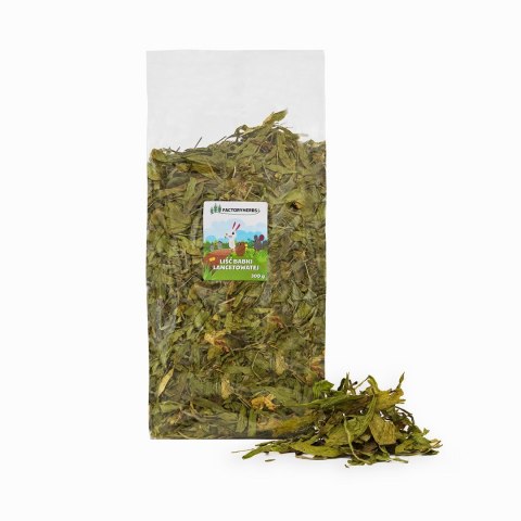 Factoryherbs FACTORYHERBS Liść babki lancetowatej XL 300 g