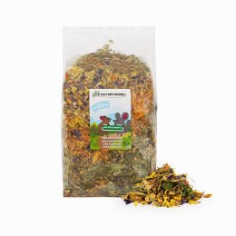 Factoryherbs FACTORYHERBS Nie byle badyle dla Szynszyli i Koszatniczki 1kg