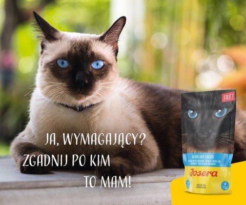 JOSERA JOSERA Filet kurczak z łososiem - mokra karma dla kota - 70 g JOSERA JOSERA Filet kurczak z łososiem - mokra karma dla kota - 70 g