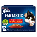 PURINA NESTLE FELIX Fantastic Wiejskie smaki - mokra karma dla kota - 12x85g