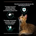 PURINA NESTLE PURINA PRO PLAN STERILISED Wołowina 85g