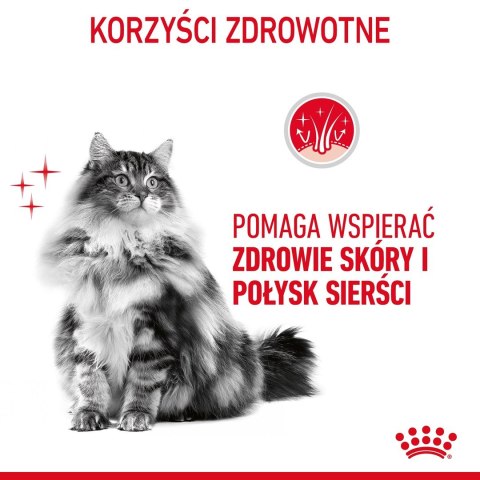 Royal Canin ROYAL CANIN FCN Hair&Skin Care - sucha karma dla kota dorosłego - 10 kg Royal Canin ROYAL CANIN FCN Hair&Skin Care - sucha karma dla kota dorosłego - 10 kg