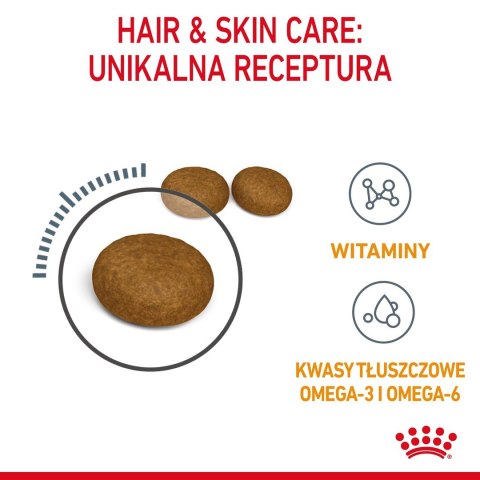 Royal Canin ROYAL CANIN FCN Hair&Skin Care - sucha karma dla kota dorosłego - 10 kg Royal Canin ROYAL CANIN FCN Hair&Skin Care - sucha karma dla kota dorosłego - 10 kg