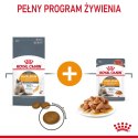 Royal Canin ROYAL CANIN FCN Hair&Skin Care - sucha karma dla kota dorosłego - 4kg