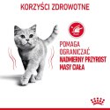 Royal Canin ROYAL CANIN FCN Light Weight Care w galaretce - mokra karma dla kota dorosłego - 12x85g