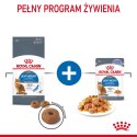 Royal Canin ROYAL CANIN FCN Light Weight Care w galaretce - mokra karma dla kota dorosłego - 12x85g