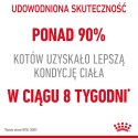 Royal Canin ROYAL CANIN FCN Light Weight Care w galaretce - mokra karma dla kota dorosłego - 12x85g