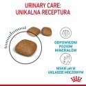 Royal Canin ROYAL CANIN FCN Urinary Care - sucha karma dla kota dorosłego - 10 kg